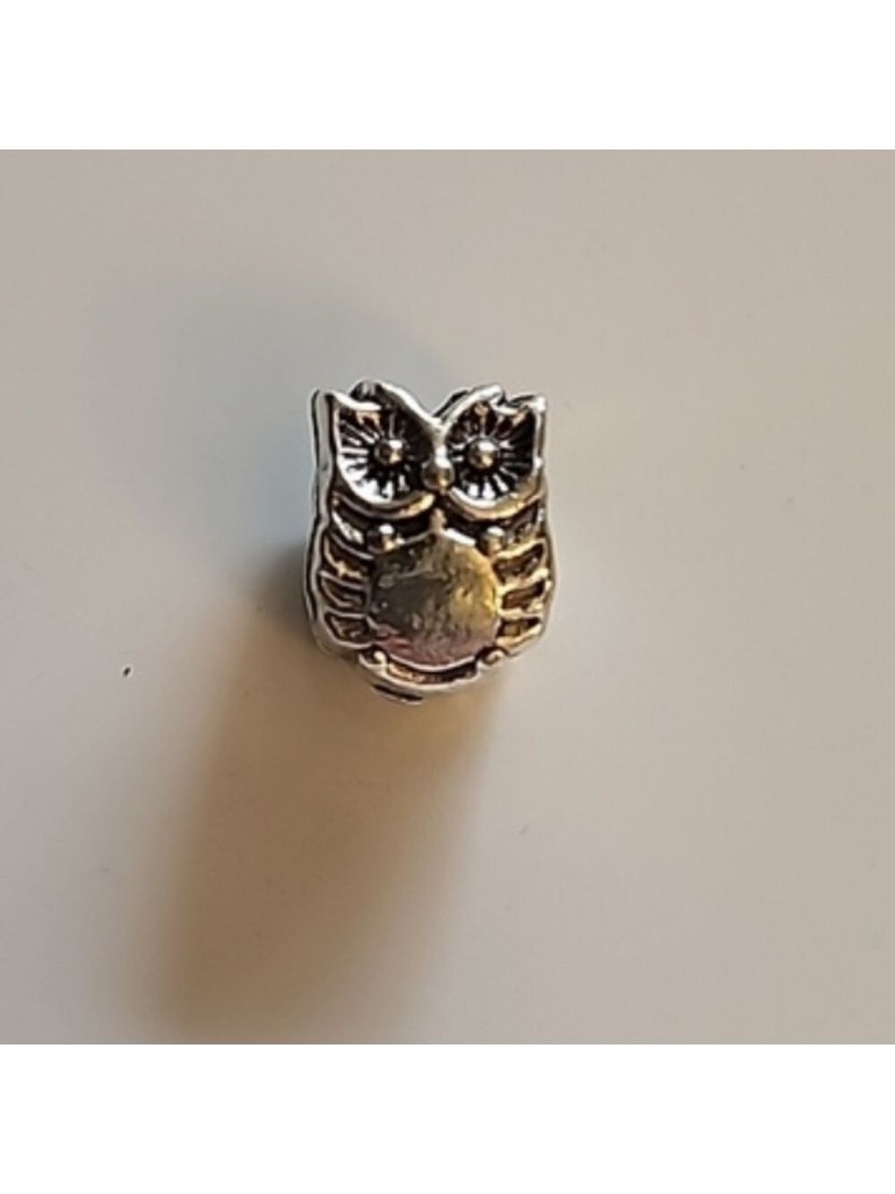 SMART  Owl  Bracelet Charm Compatable With Pandora
